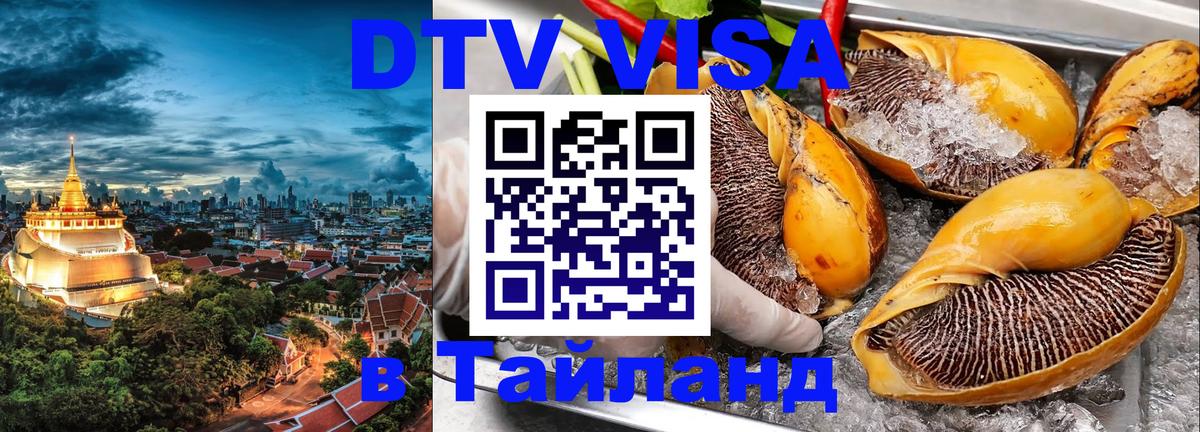 Оформление DTV визы под ключ: стоимость и тарифы, только загранпаспорт - Санкт-Петербург  19.11.2025 